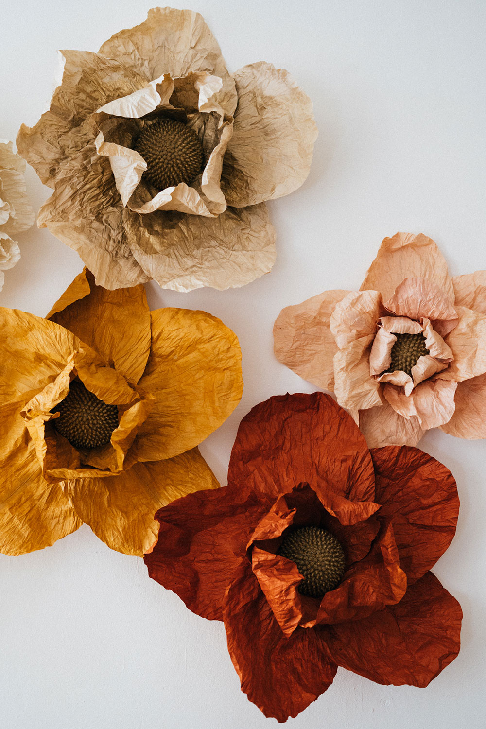 Création d'un fond photocall en fleur papier