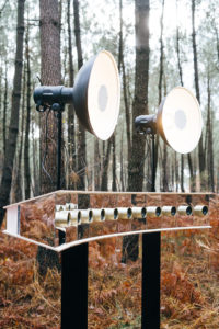 MULTICAMforet-23