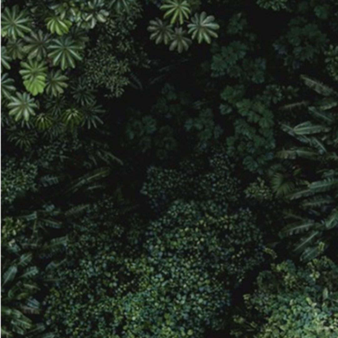 photobooth-nature-copy-canva-e1606920017570